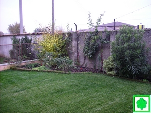 angolo giardino con tufo e arbusti dopo un anno