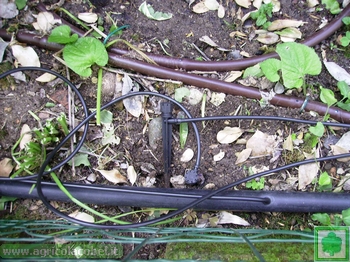 microirrigatore per vasi