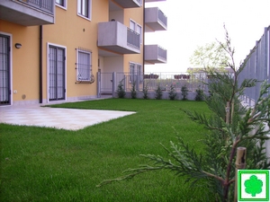 tappeto erboso seminato